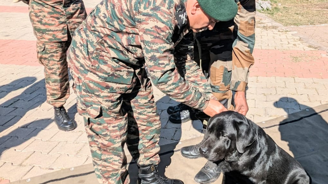 Rajouri Encounter: ఉగ్రవాదుల జాడ చూపిన శునకానికి సన్మానం