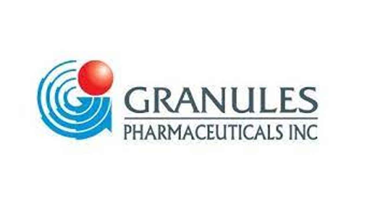 గ్రాన్యూల్‌ ప్రాఫిట్‌ డౌన్‌