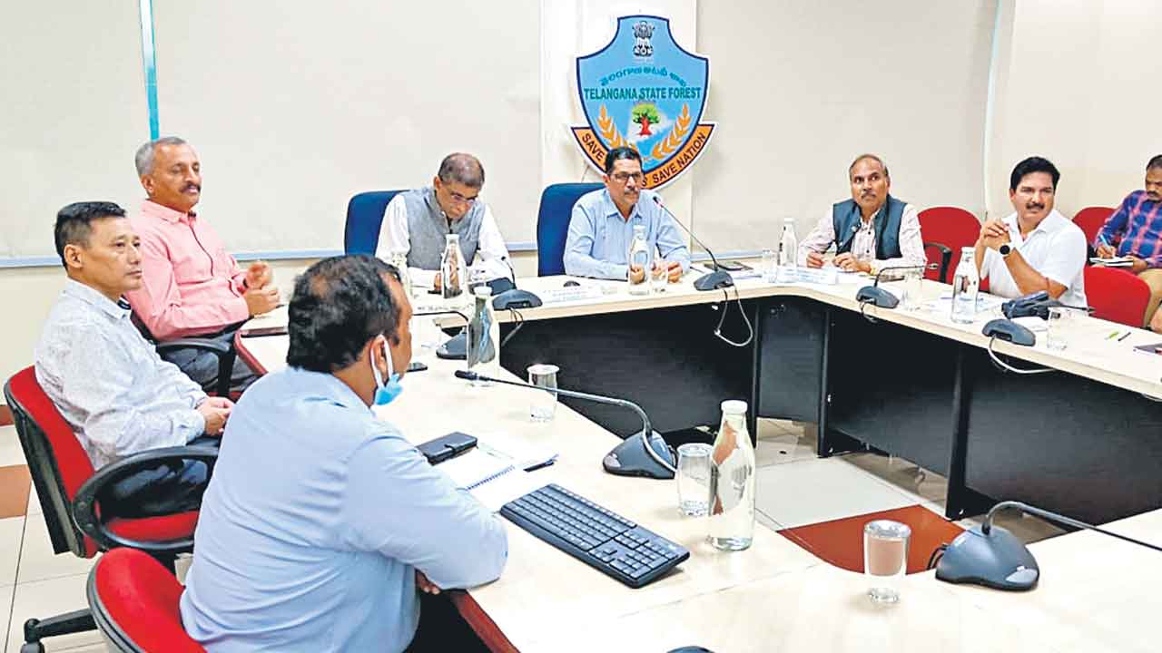 Haritha Haram | హరితహారం అద్భుత కార్యక్రమం.. మహారాష్ట్రలోనూ అమలు చేస్తామన్న అధికారులు