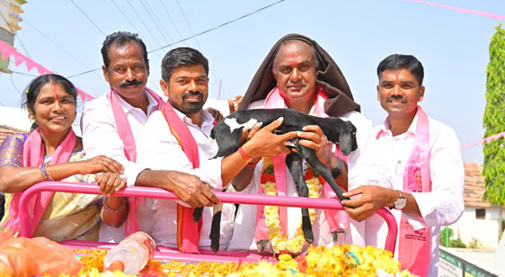 బీడు భూములను సాగులోకి తెచ్చినం