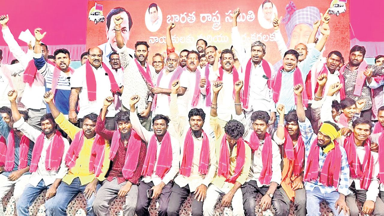 యువతకు ఉపాధి, ఉద్యోగావకాశాలు
