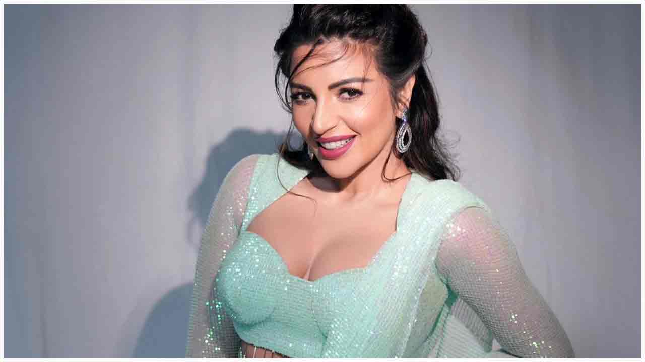 Shama Sikander | చమ్కీల డ్రెస్‌లో చమ్కాయిస్తున్న షామా సికందర్..