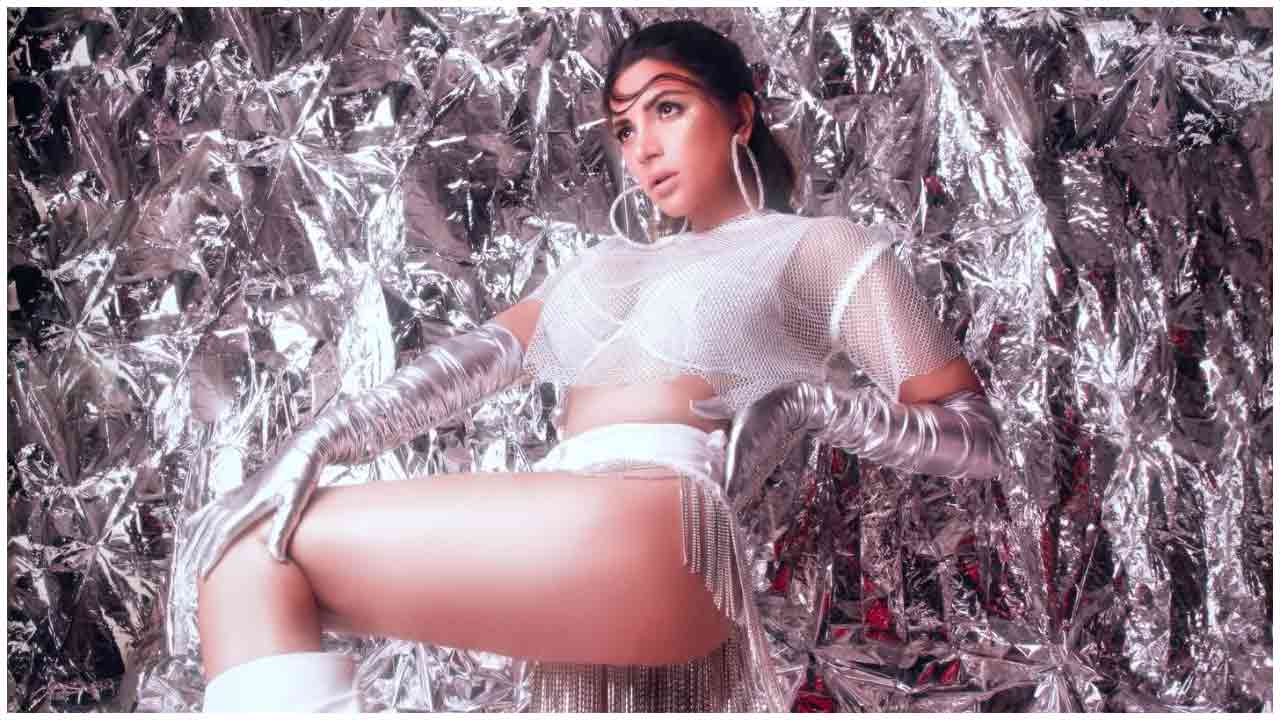 Shama Sikander | షాన్‌దార్ ఫోజులతో షాకిస్తున్న షామా సికందర్..