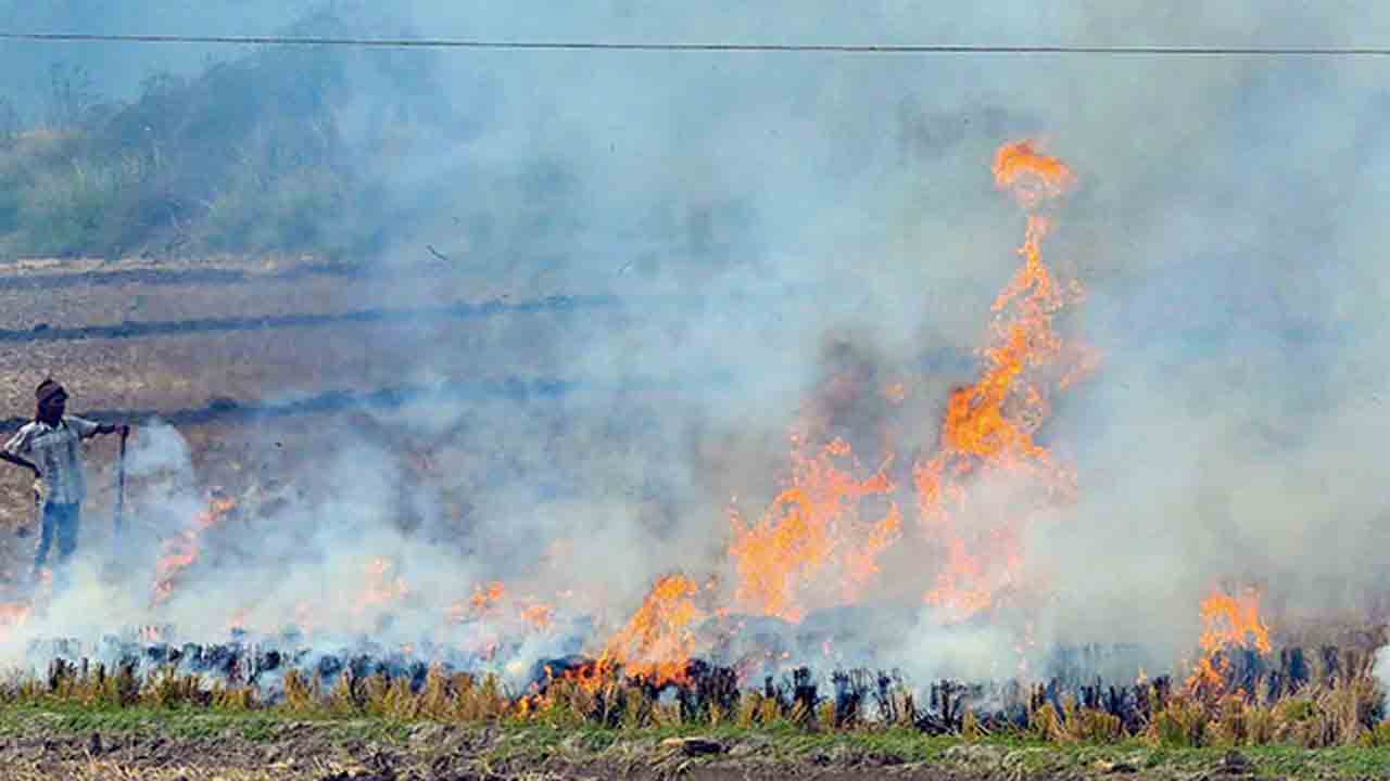 Stubble Burning | పంట వ్యర్థాల దహనంపై హర్యానా కఠిన చర్యలు.. రూ.25 లక్షలకుపైగా జరిమానా