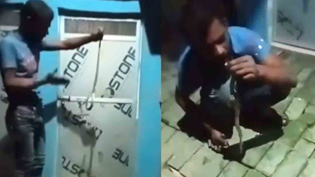 Watch: పాముతో ఆటలాడి కాటు వేయాలంటూ తాగుబోతు సవాల్‌.. పాము కాటుకు మృతి