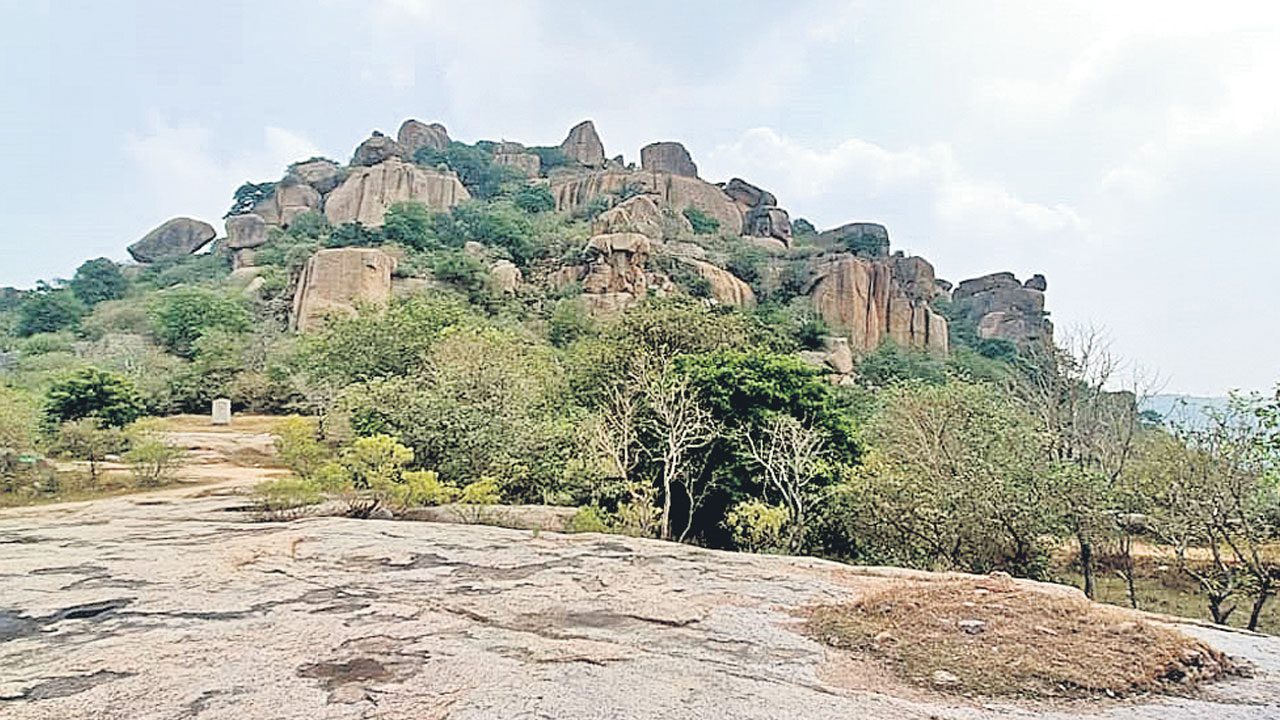 గిరిజన భూములపైరేటెంతరెడ్డి కన్ను