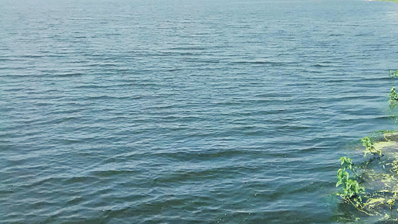 ఏడాదంతా నిండుగా..