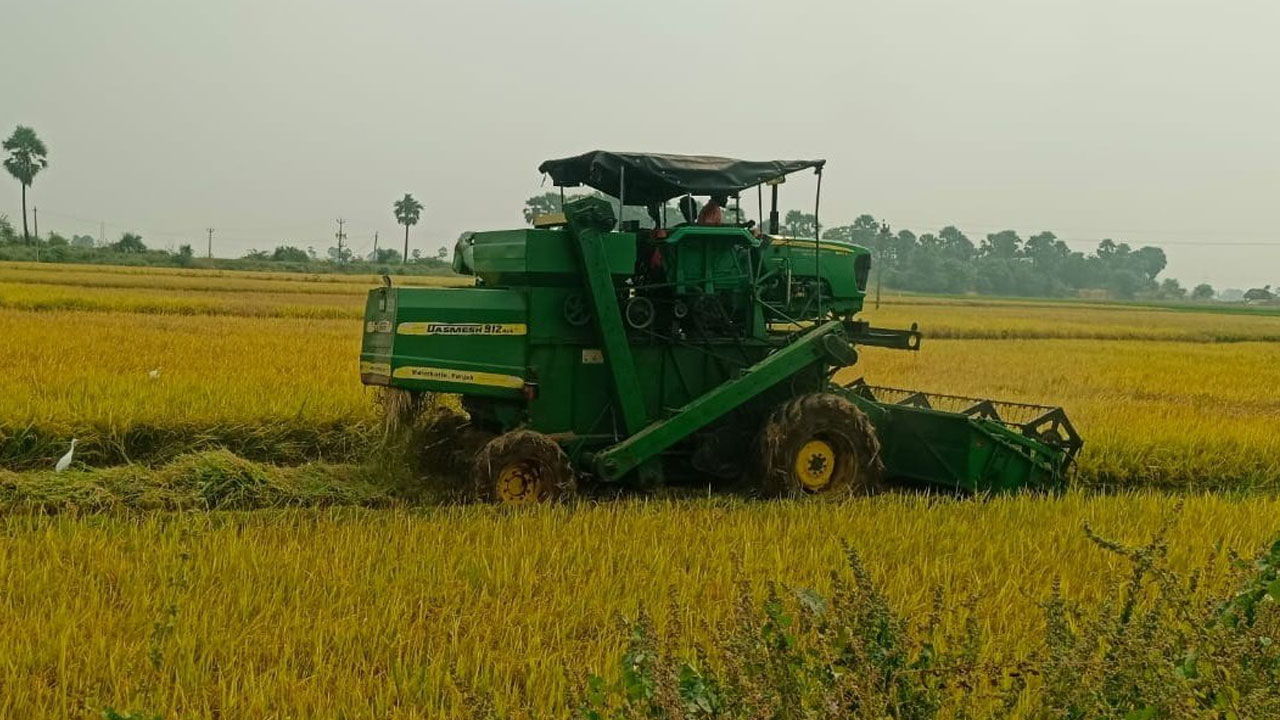 పంట పండింది