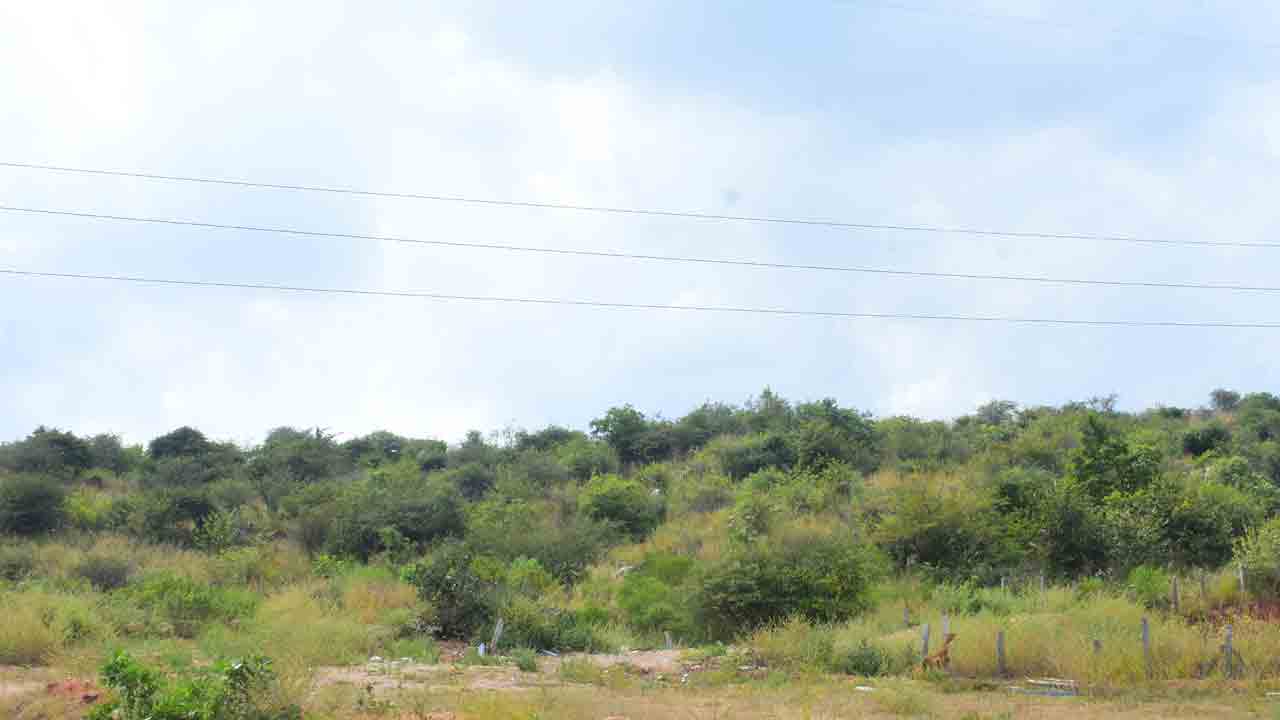 గుట్టలో టటూరిజం పార్కు..