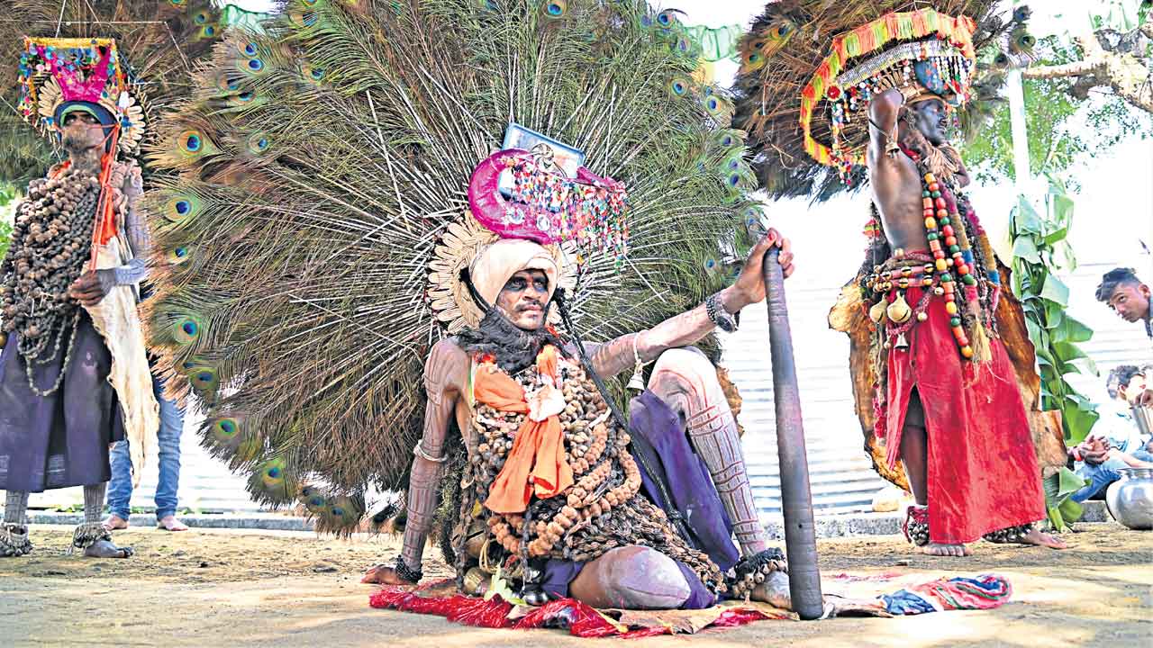 కానలో సింగిడి.. దండారీ సందడి..