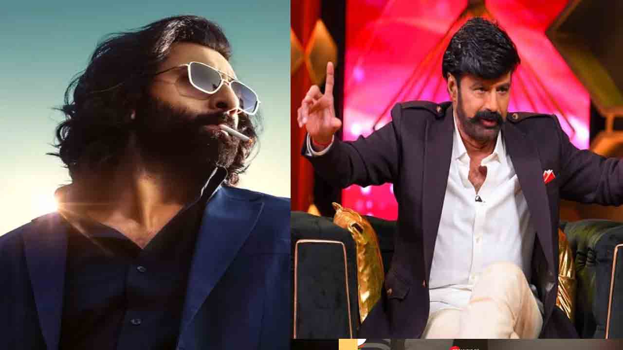 Animal Movie | ఫ్యాన్స్‌కు పూనకాలే.. అన్‌స్టాప‌బుల్ షోకు రానున్న రణబీర్ కపూర్.?