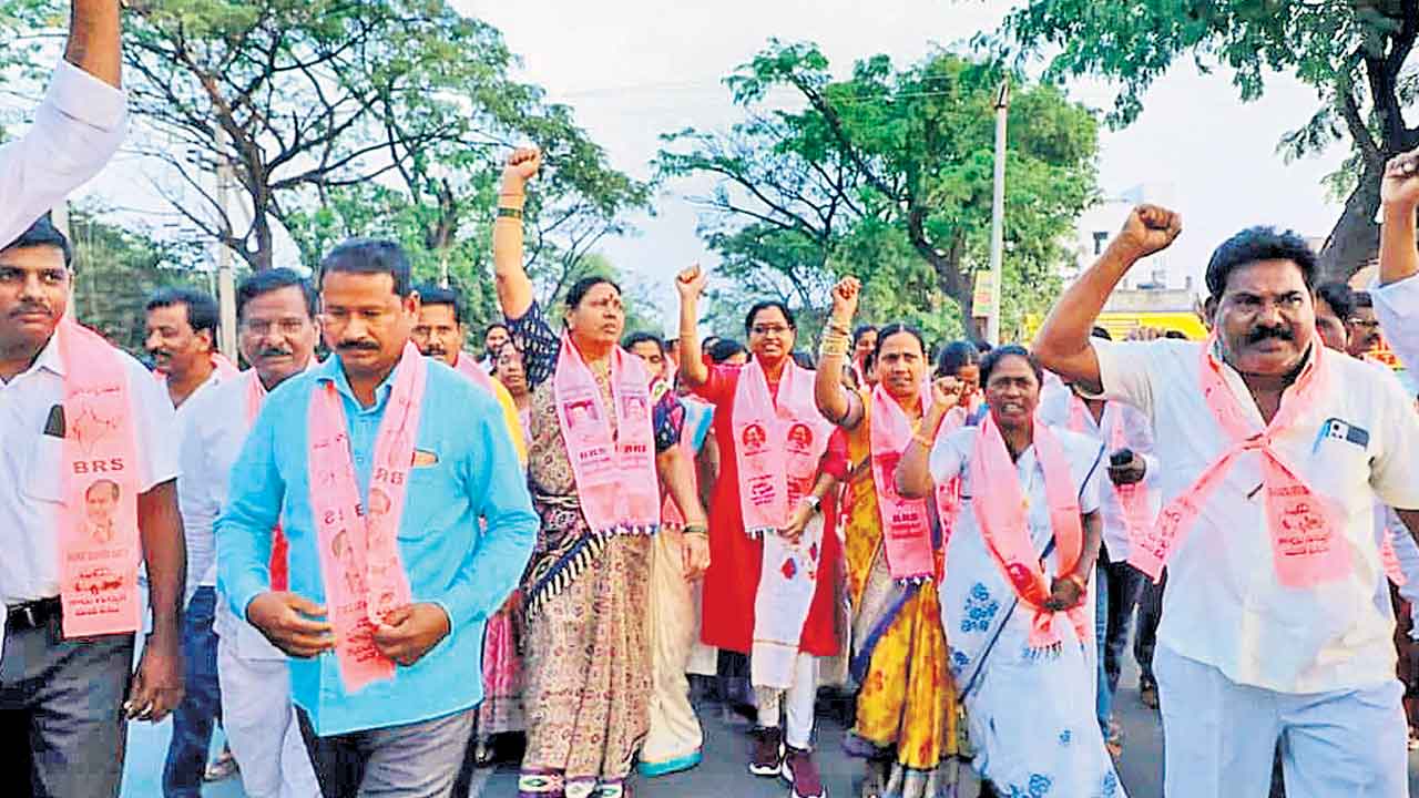 గులాబీ జెండానే కావాలి