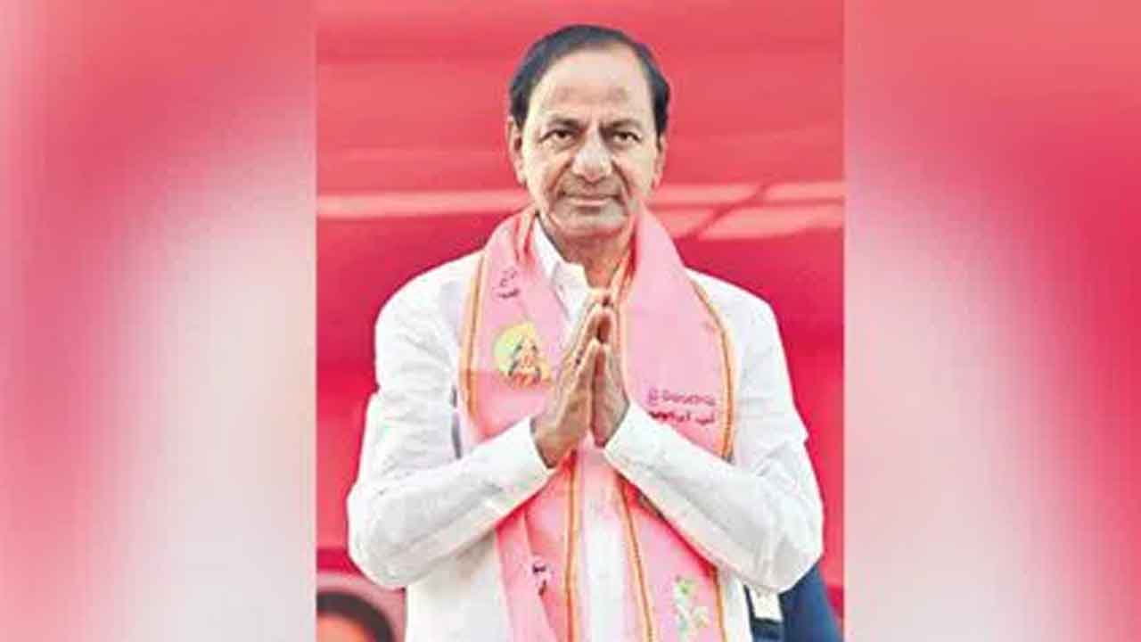 బాస్‌ రాక