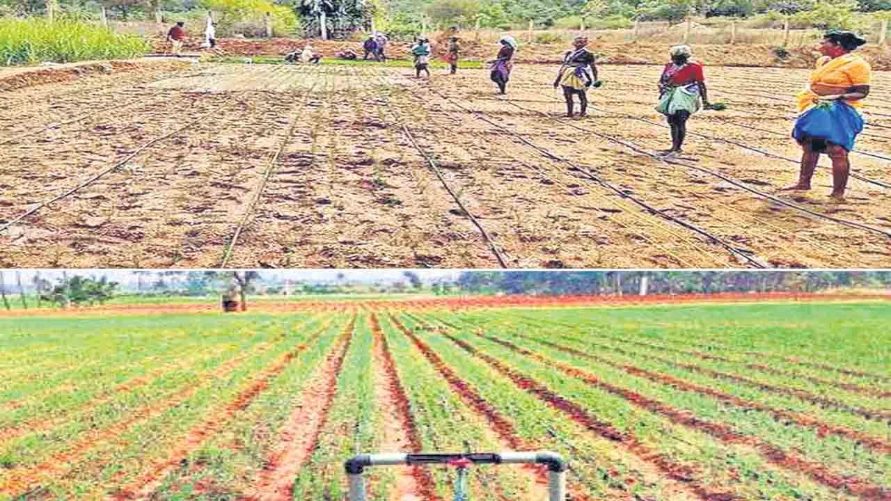 అభివృద్ధి పరుగులు ఆగొద్దు