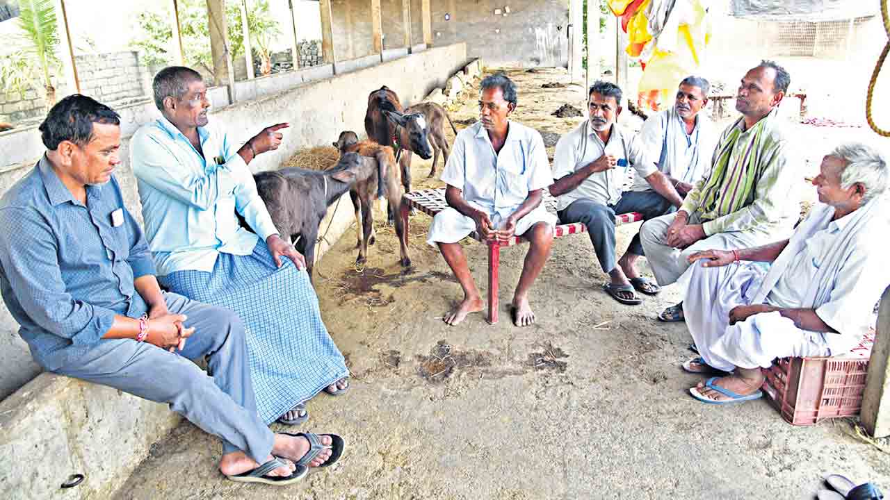 టెన్నెచ్చిపీ మోటర్లు ఎవడిత్తడు?