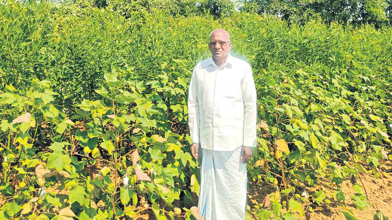 Farmers | కాంగ్రెస్‌కు ఓటేసి బాగున్న మా బతుకులను మళ్లా ఆగం జేసుకొంటామా?.. ఇదీ రాష్ట్రంలోని రైతన్నల మాట