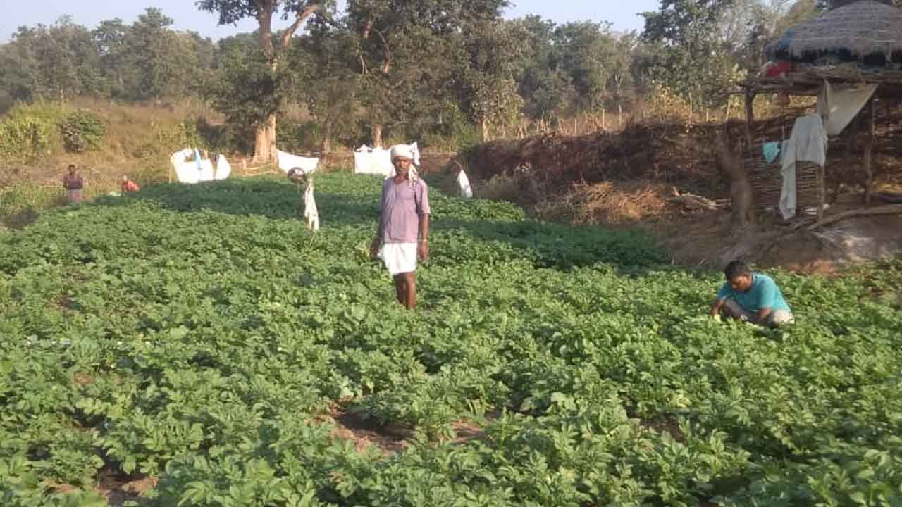 పంట నష్టానికి రూ.2 పరిహారం