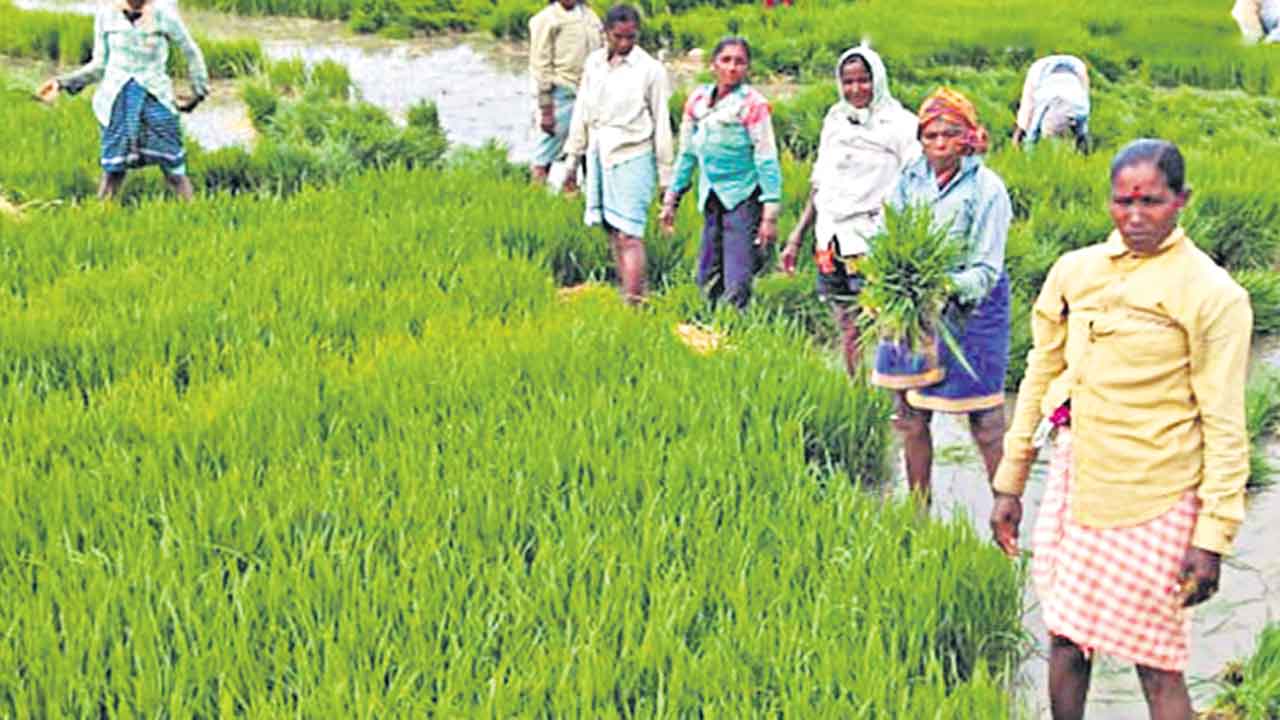 ఆగమాగం ఓటేస్తే బతుకు ఆగమే! కాంగ్రెస్‌ వస్తే.. సాగు ఖతమే..