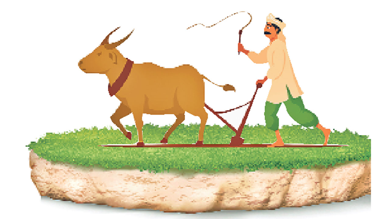 పచ్చని పంటల్లో ‘కౌలుదారు’ కుంపట్లు..!