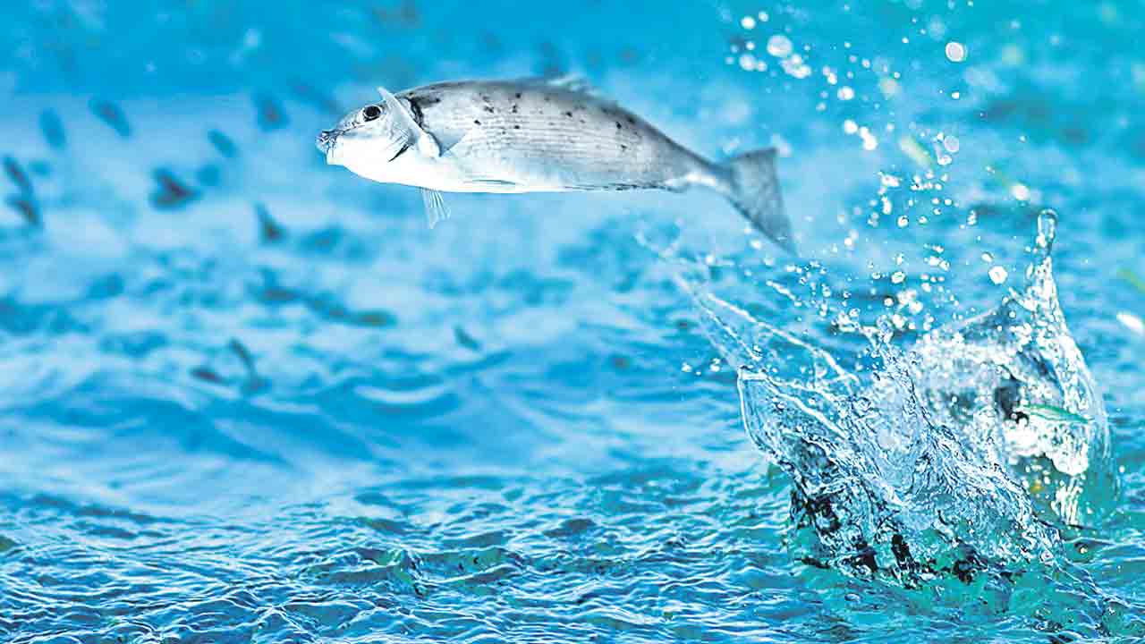 బీఆర్‌ఎస్‌తోనే ముదిరాజులకు భవిష్యత్తు