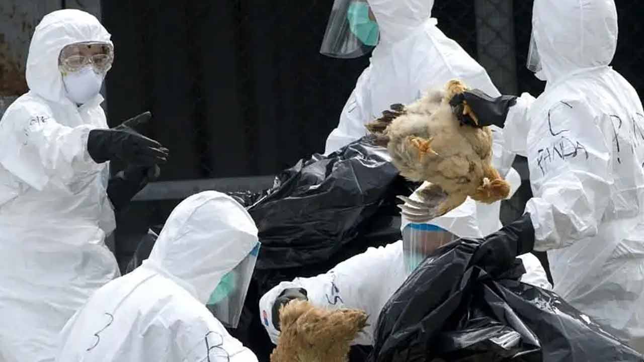 H9N2 Cases: చైనాలో హెచ్‌9ఎన్‌2 కేసులు.. రిస్క్ లేద‌న్న కేంద్ర స‌ర్కార్‌