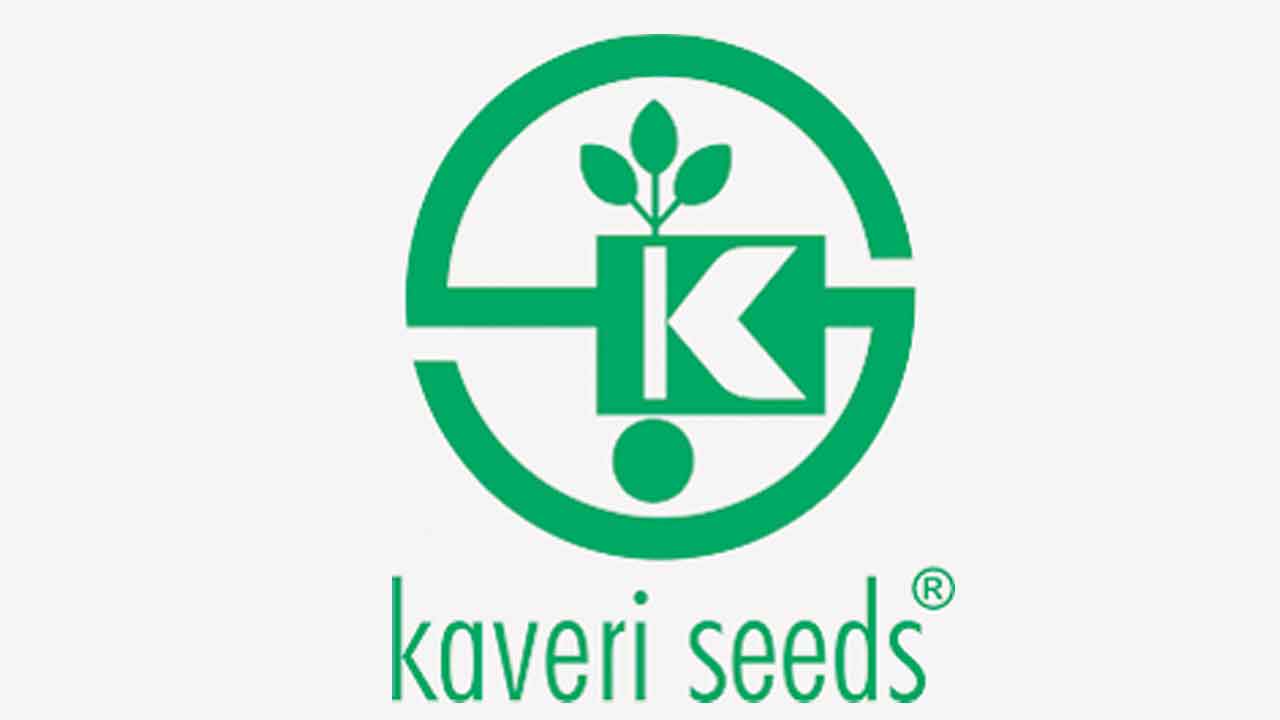 కావేరీ సీడ్స్‌ లాభం మూడింతలు