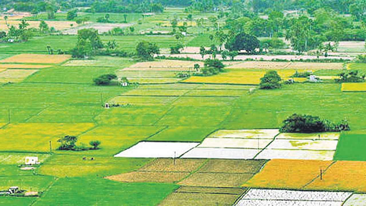 కాంగ్రెస్ వస్తే భూముల ధరలు ఢమాల్