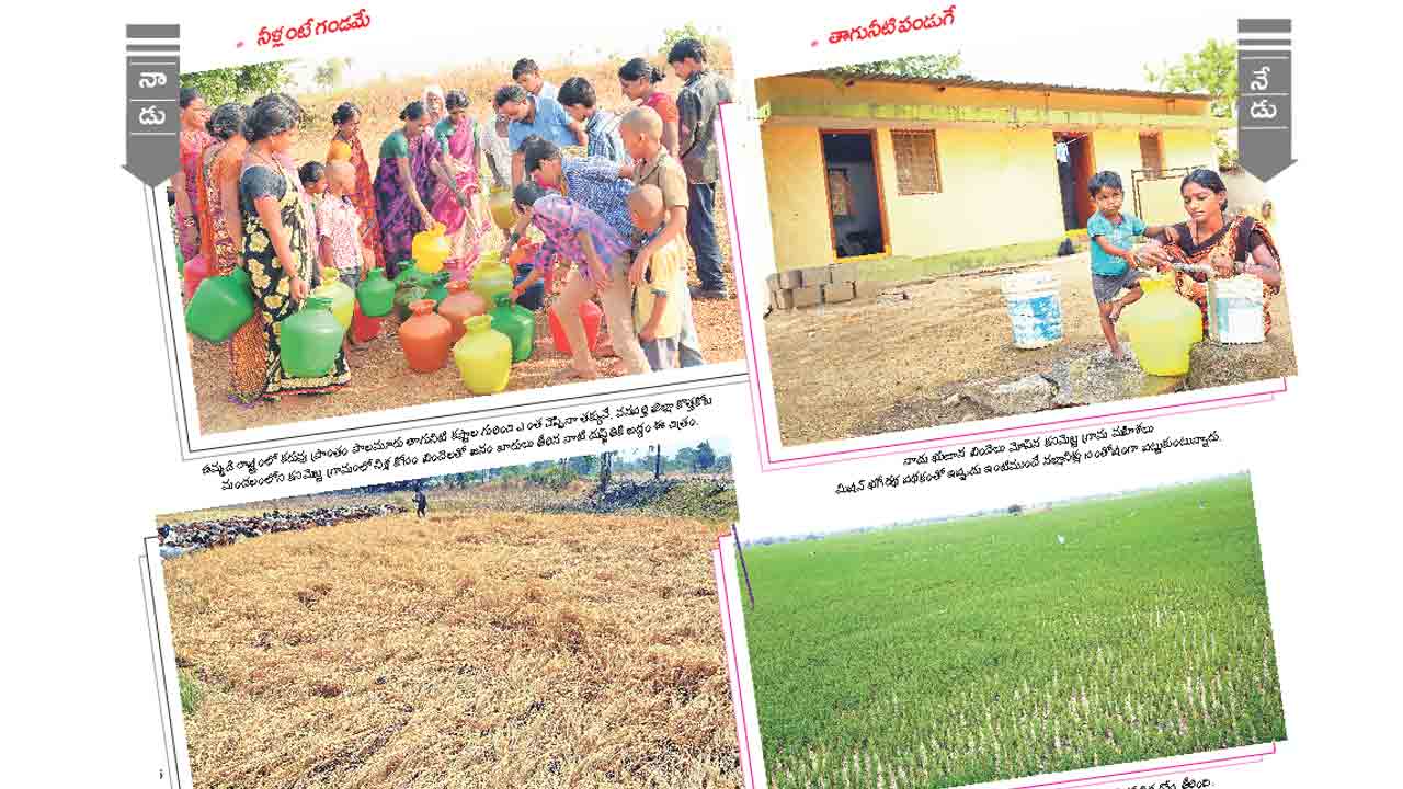 Palamuru | కరువు సీమలో సిరుల దరువు.. తెలంగాణ రాకతో మారిన పాలమూరు జీవన చిత్రం