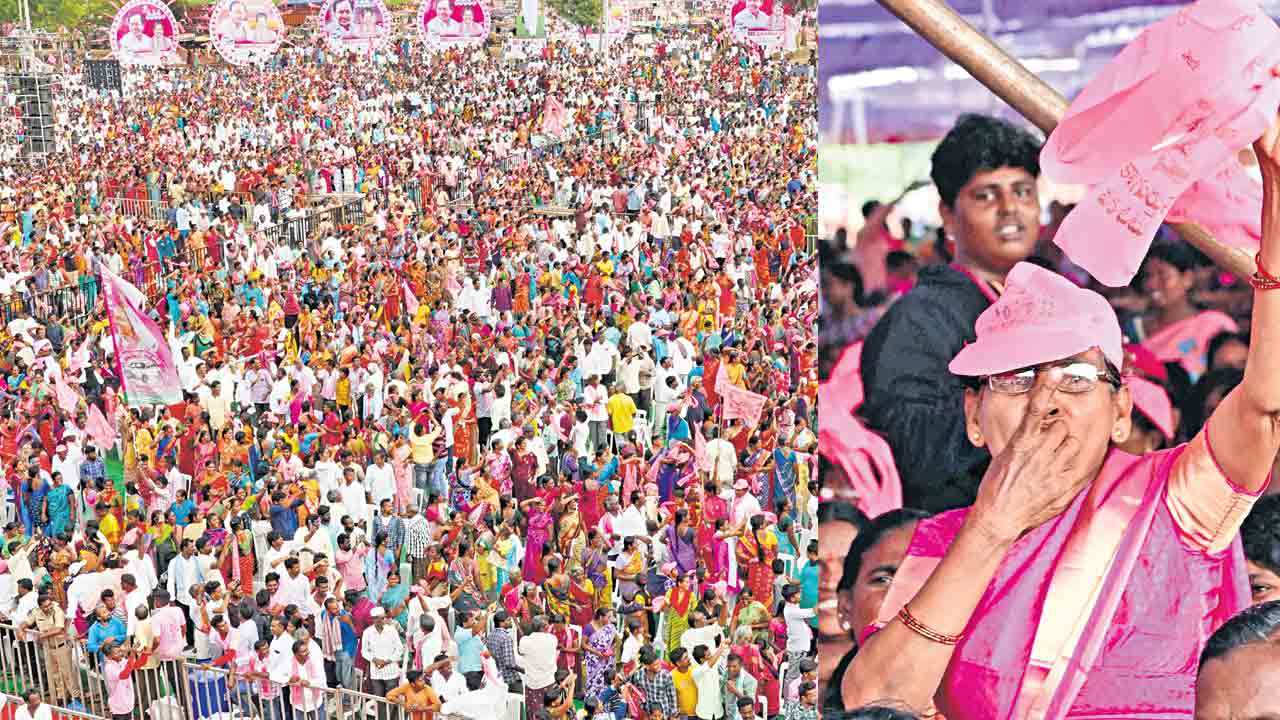 సూర్యాపేట గులాబీ తోట