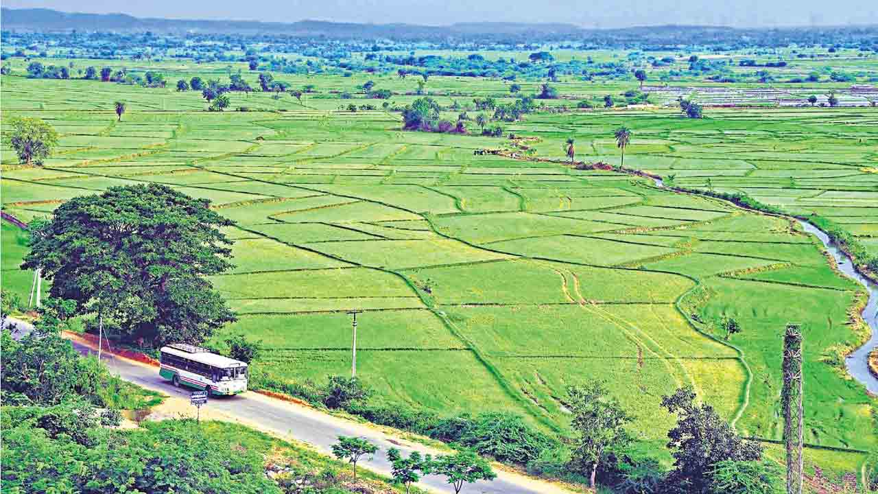 పల్లేర్లు మొలిసిన నేలలో..