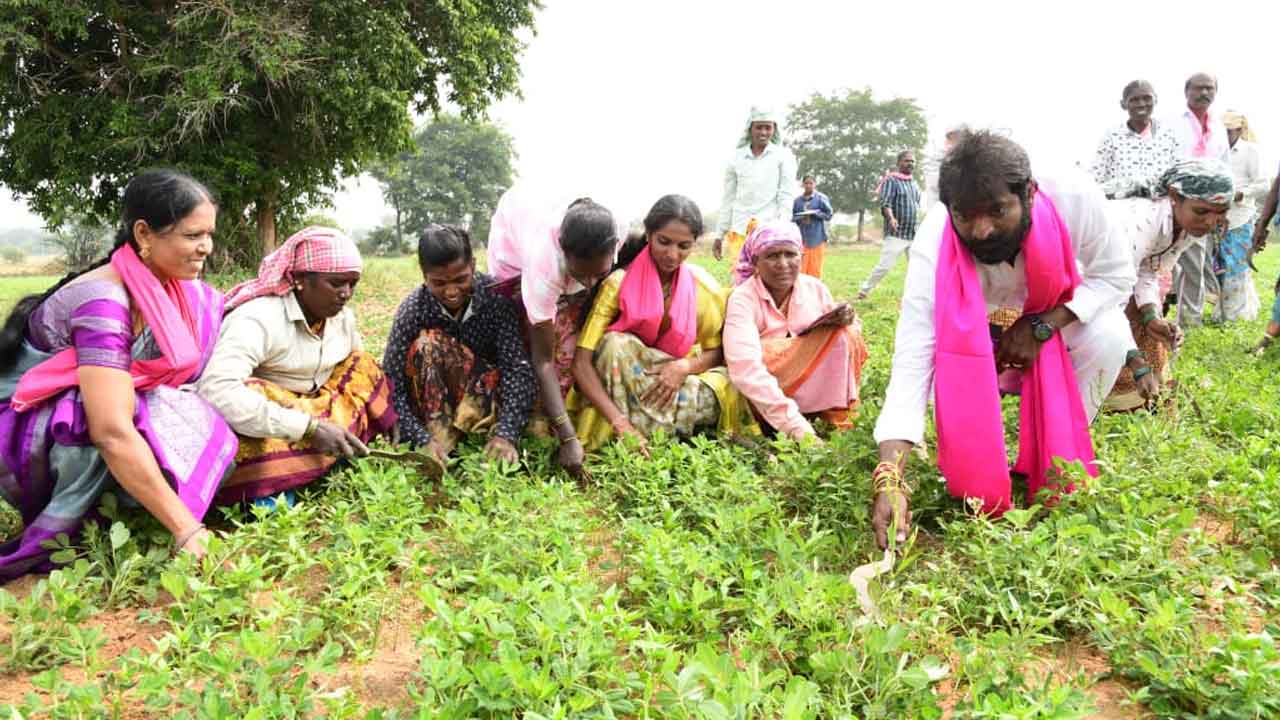 Minister Srinivas Goud | కూలీలతో కలుపు తీస్తూ..బుల్లెట్‌పై దౌడు తీస్తూ..ప్రచారంలో దూసుకెళ్తున్న మంత్రి శ్రీనివాస్‌ గౌడ్‌