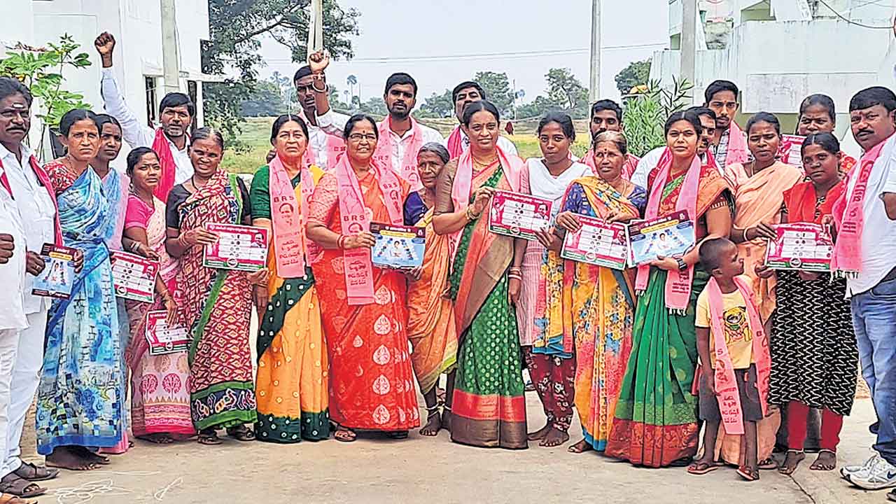 మంత్రి కేటీఆర్‌కు రజకుల మద్దతు