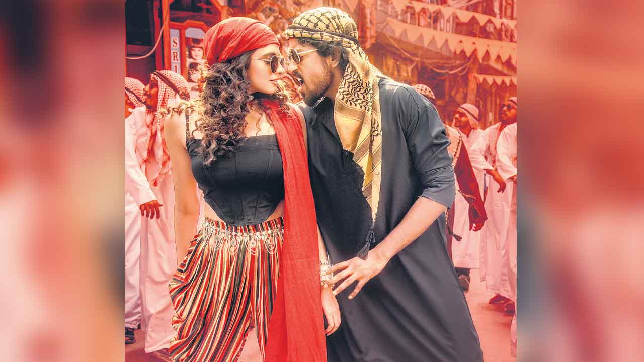 హబీబీ జిలేబీ..