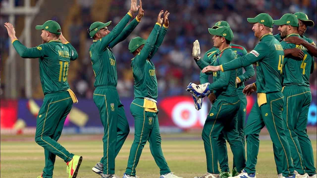 కివీస్‌ సఫా