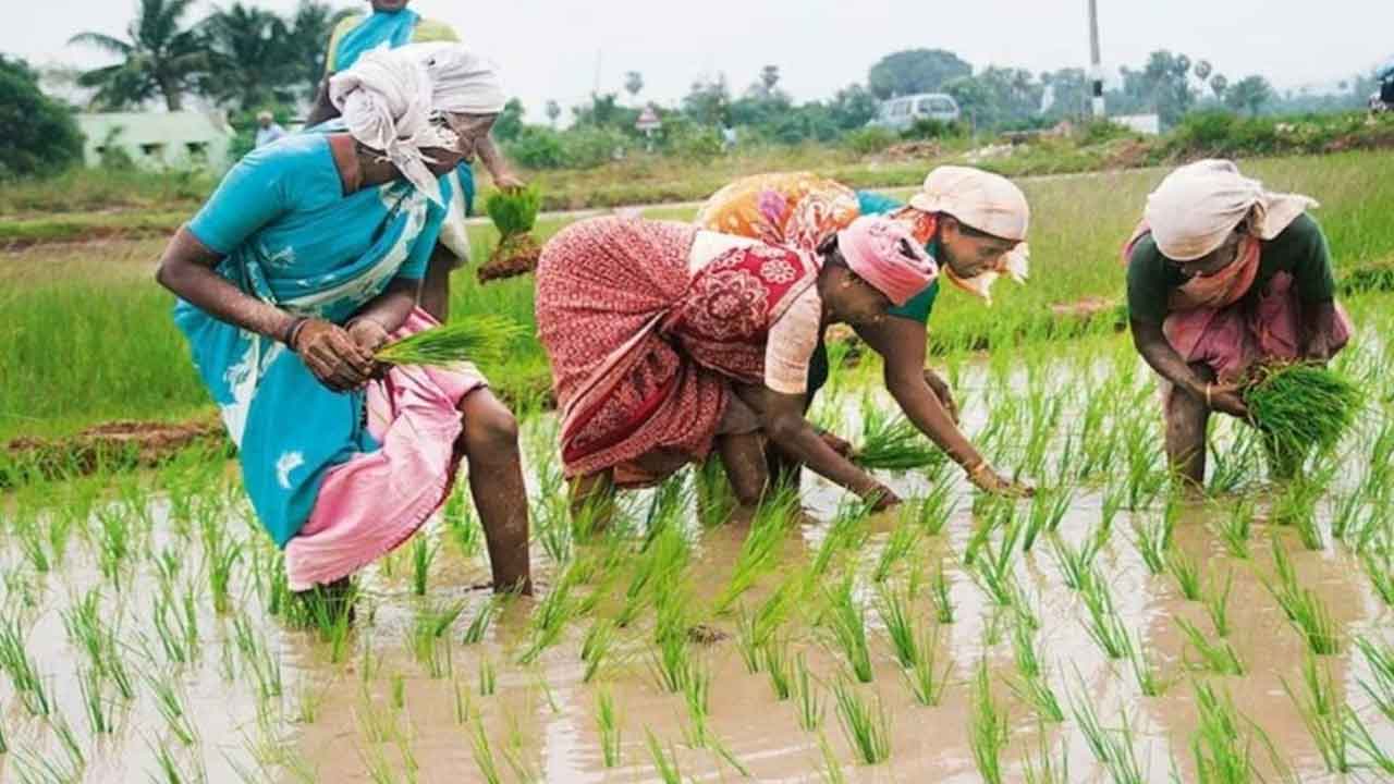 రైతుల నోట్లో మన్ను