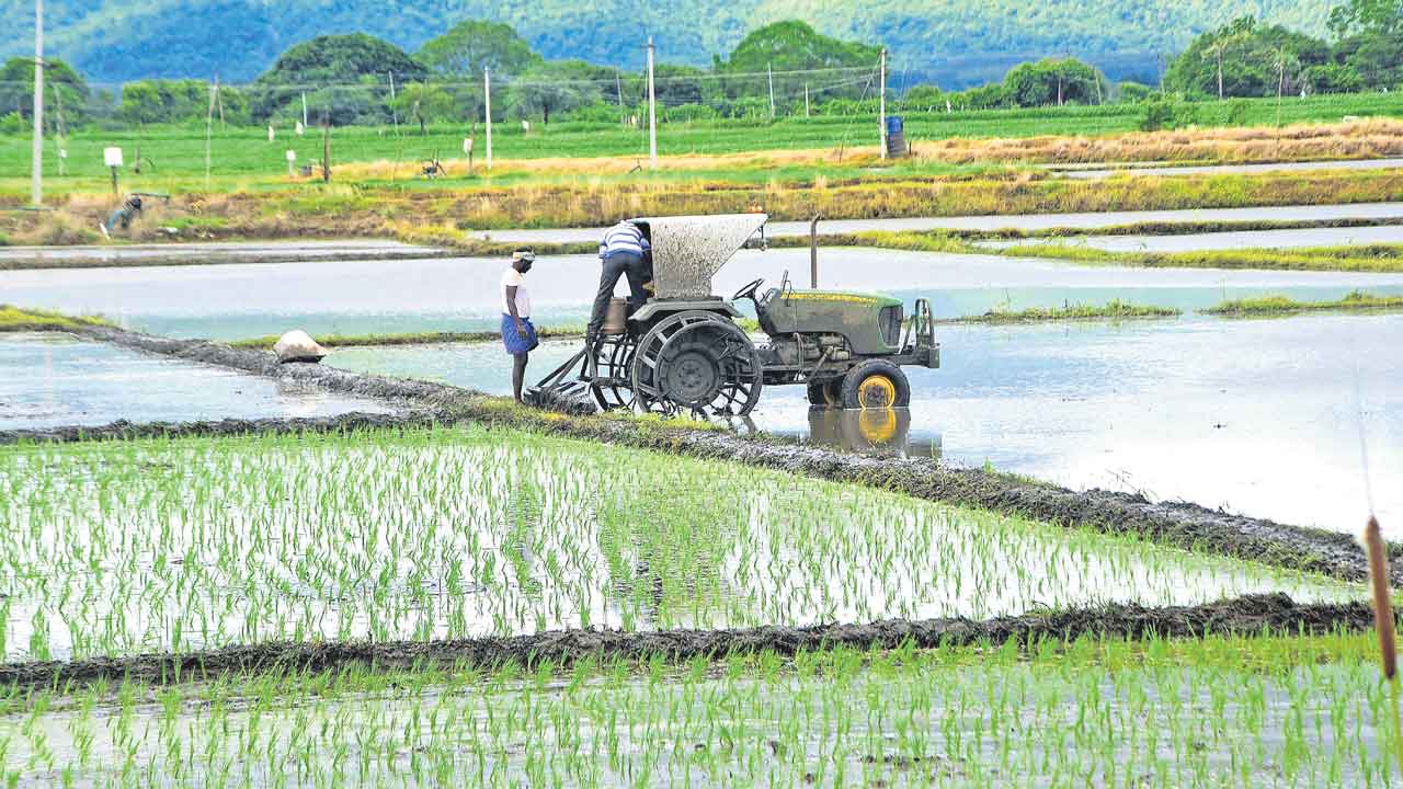 దళారులు రాజ్యమేలుతారు