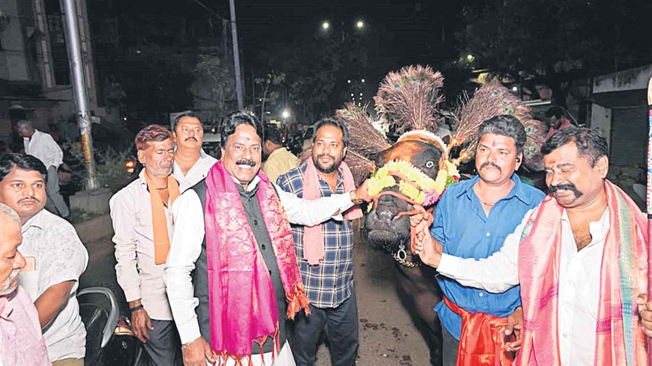 Sadar Festival