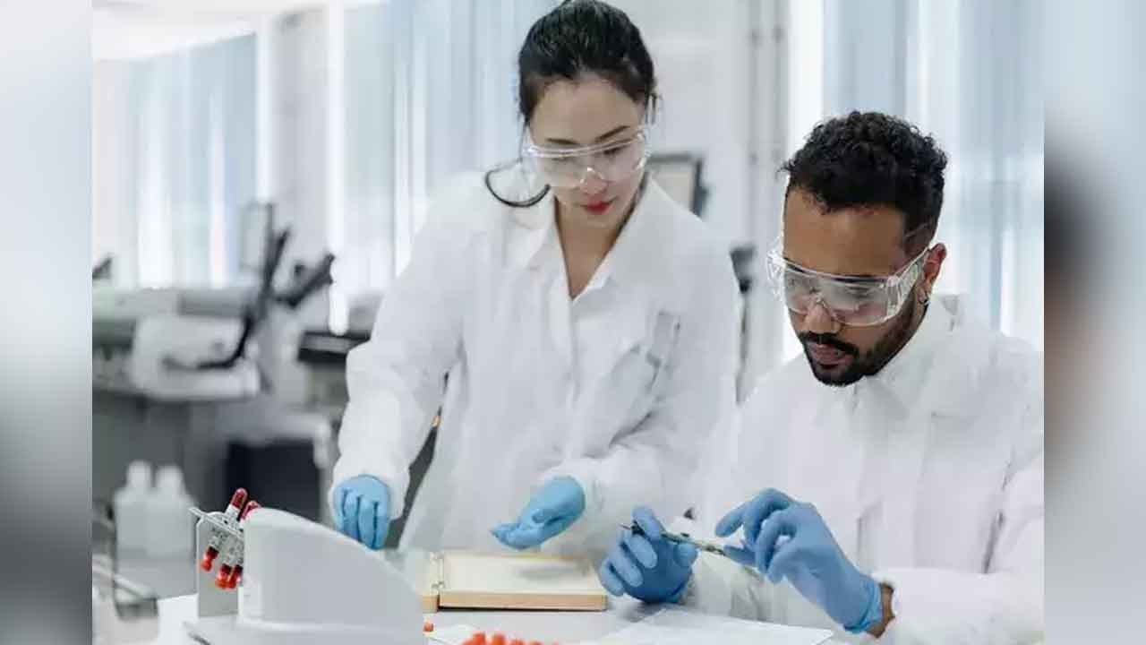 మలబద్ధకాన్ని తగ్గించే బ్యాక్టీరియా!