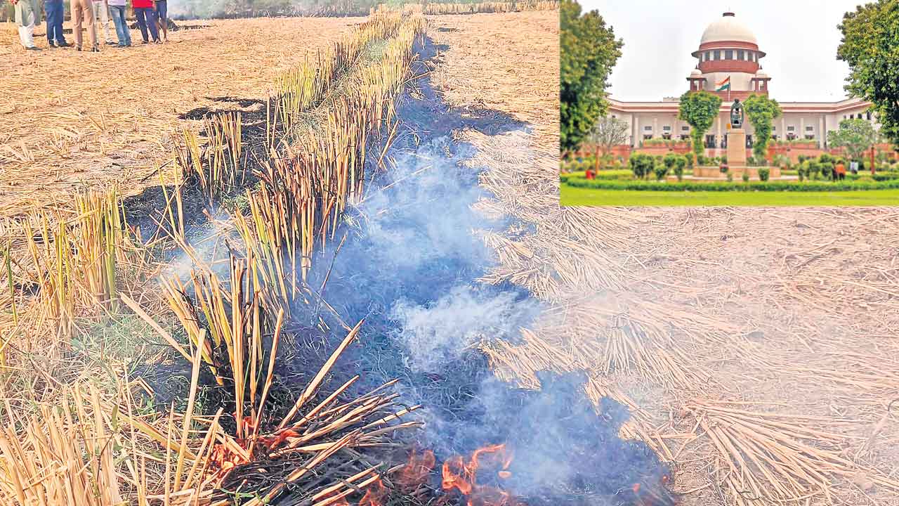 తక్షణం కాలుష్యం ఆగాలి