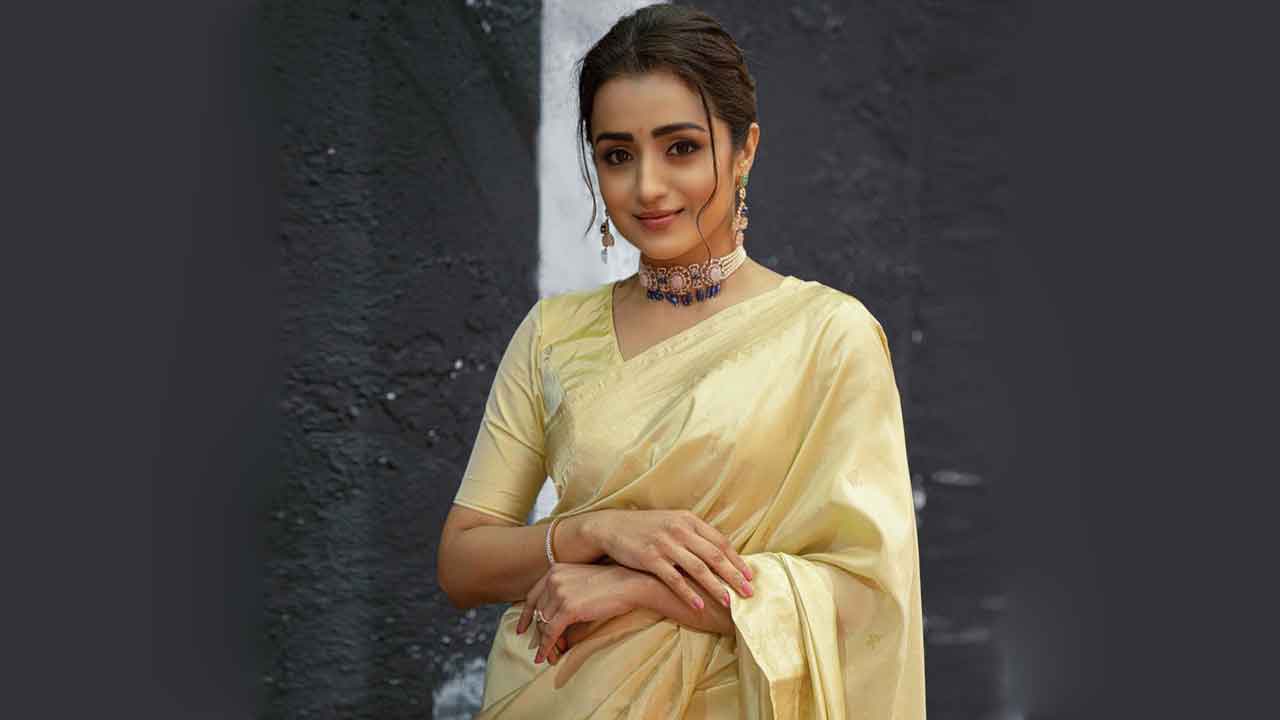 Trisha | మీకు సిగ్గు అనిపించడం లేదా.. సోషల్‌మీడియాలో అంతెత్తు లేచిన త్రిష