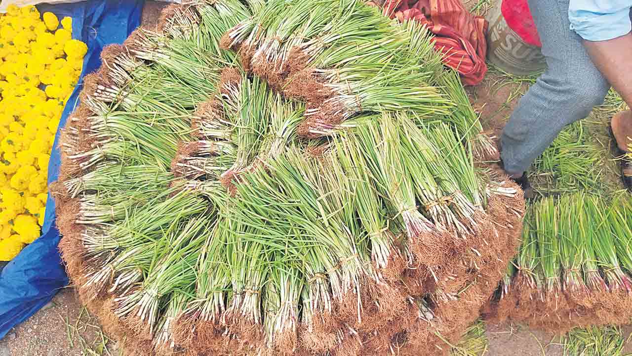 నారు అమ్మకాలతో లాభాలు