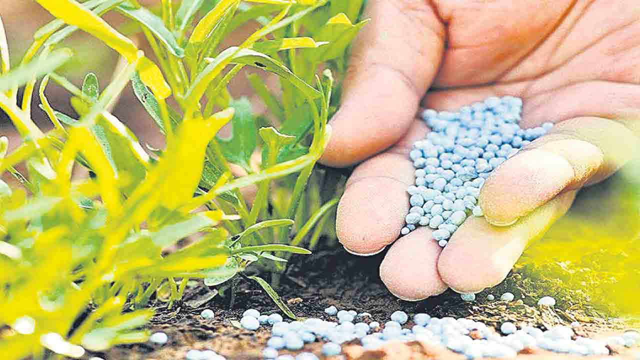 వేపపూత యూరియాతో ప్రయోజనం