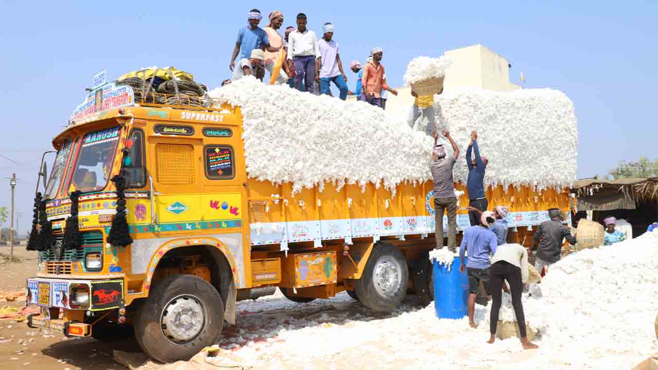 జోరుగా దూదిపంట విక్రయాలు