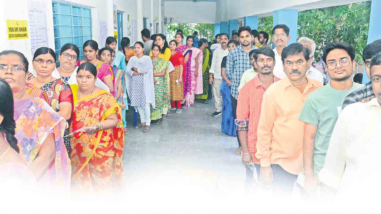 సత్తా చాటిన ఓటరు