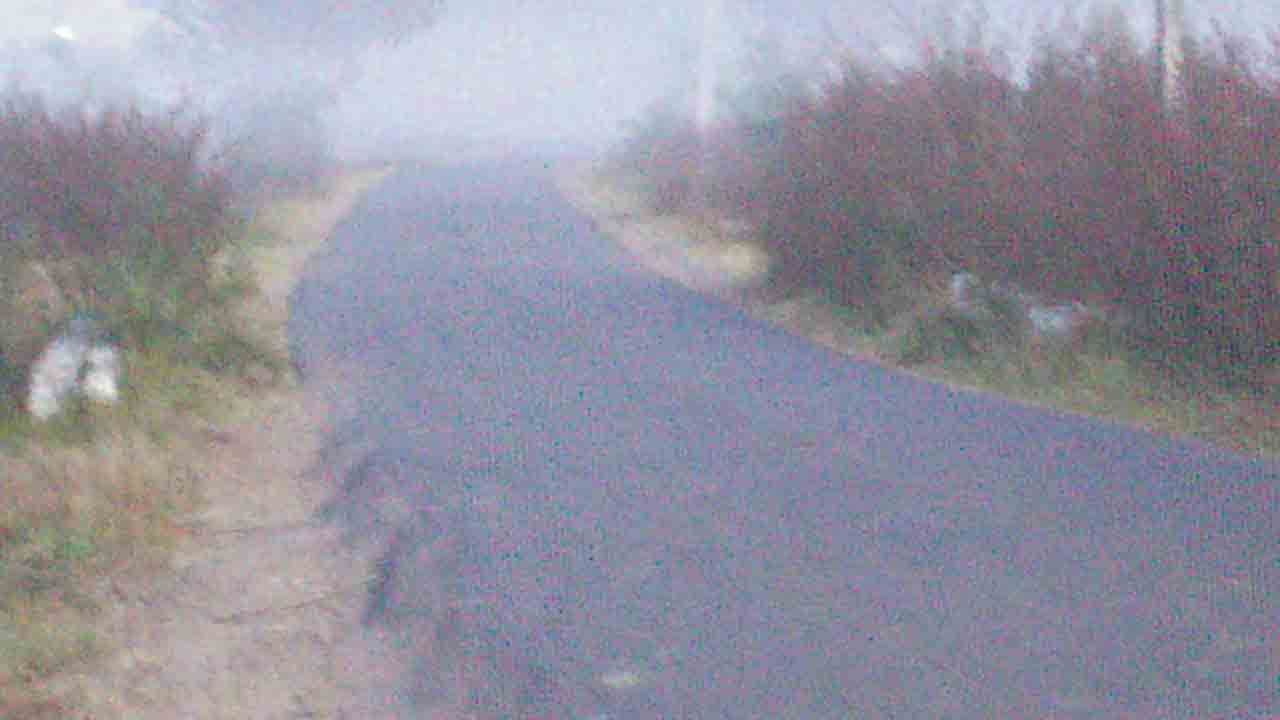 చలి పులి