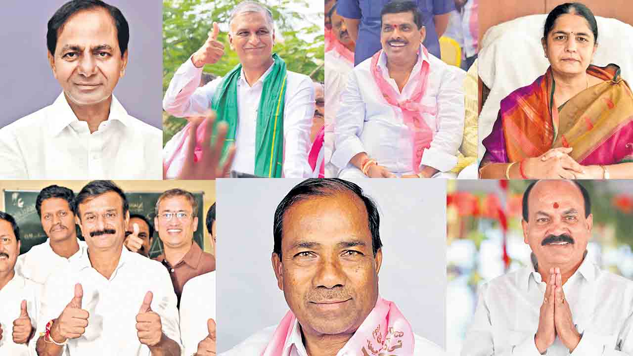 మెతుకుసీమ గులాబీ కోట