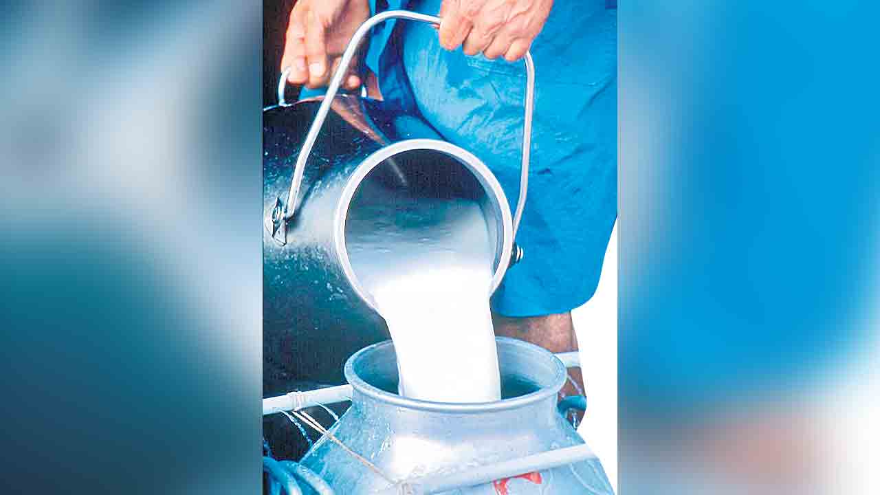 నాణ్యతకు మారుపేరు ‘విజయ డెయిరీ’