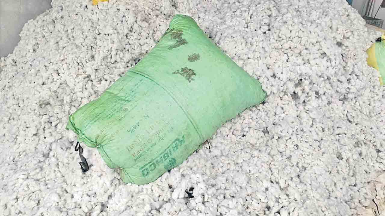 పత్తి రైతు పరేషాన్‌