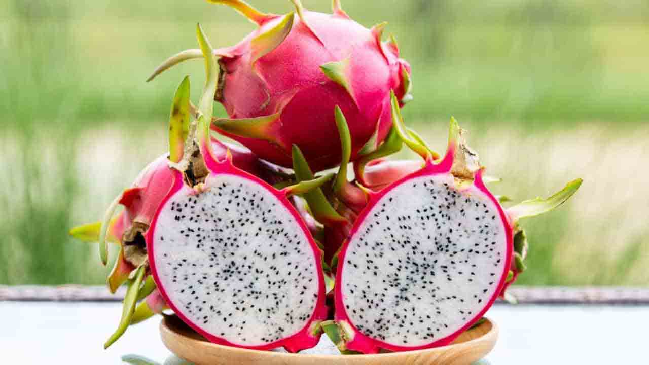 రెండున్నర ఎకరాలు.. ఏడాదికి 13 లక్షలు