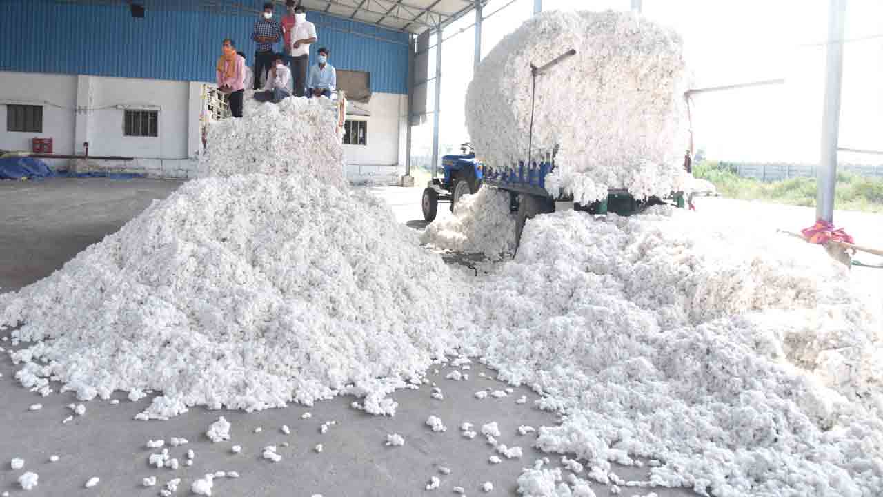 వన్నెతగ్గిన తెల్లబంగారం